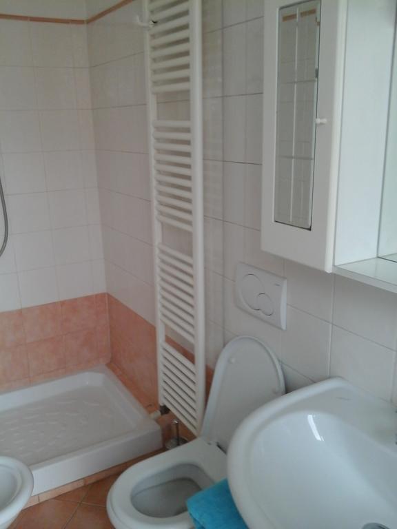 L.T. Schneider B&B Bologna Cameră foto